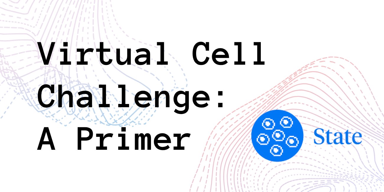 Digital Cell Rehearsals: How ML Engineers are Solving the Drug R&D Crisis