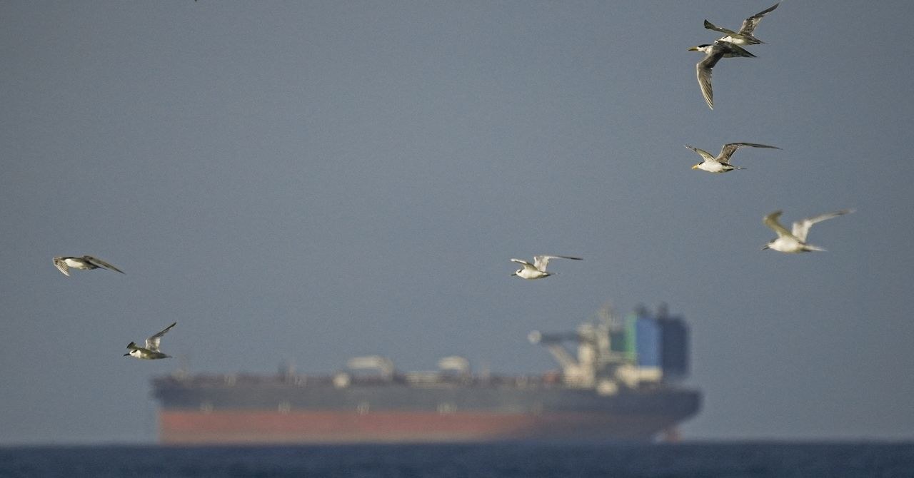 Digital Fog of War: How AI Exposes Massive Signal Jamming in Global Shipping