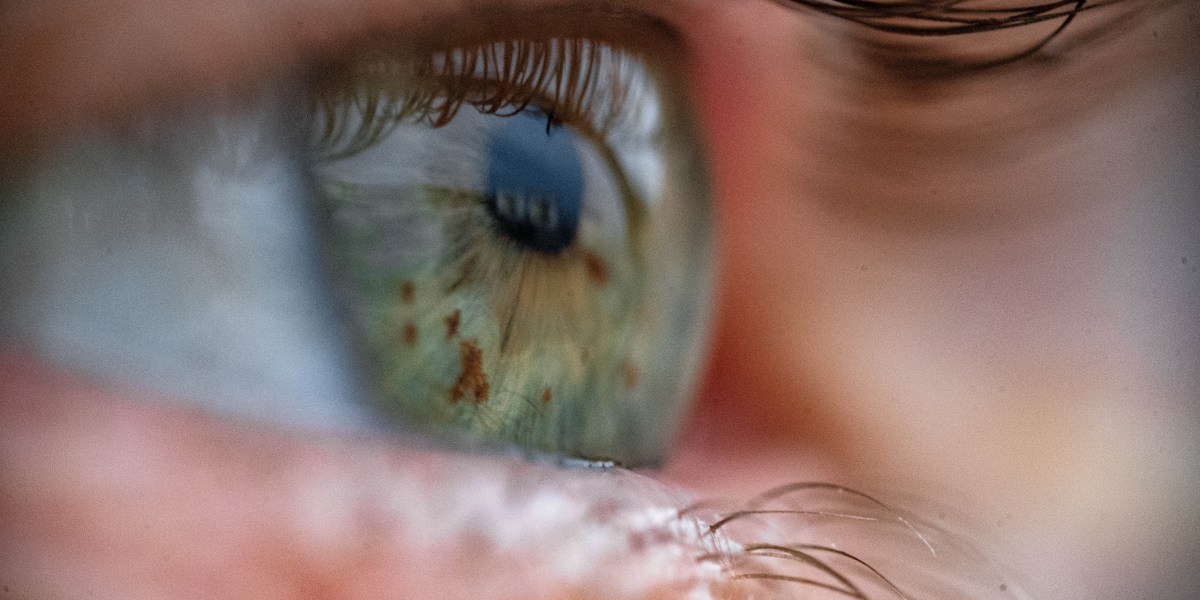 ECaBox: Beyond the Cooler—The Tech Turning Eye Transplants into Reality