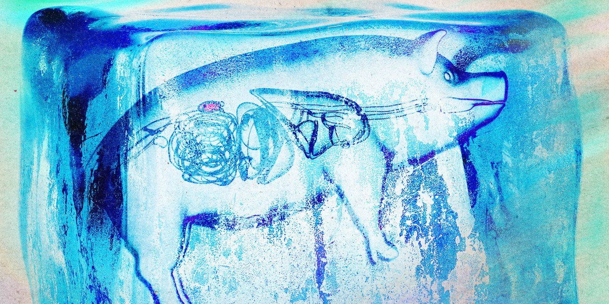 Isochoric supercooling extends organ shelf life through thermodynamic hacks